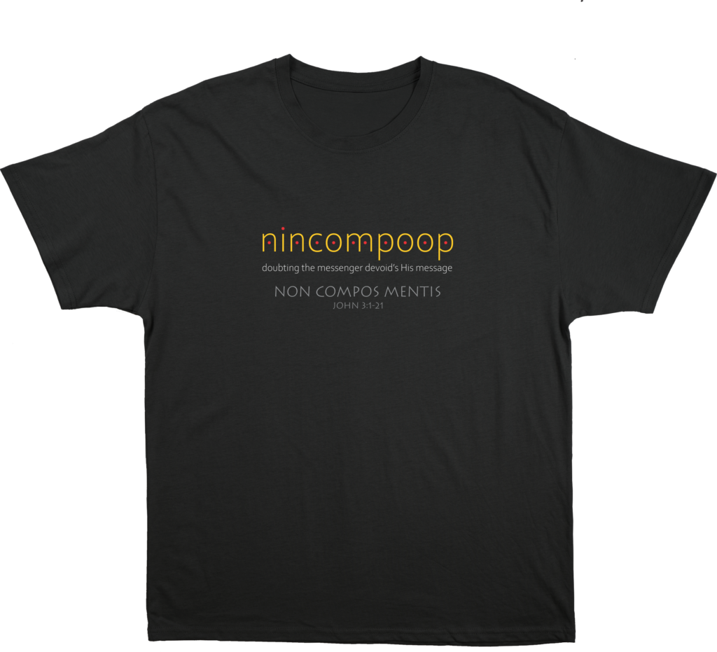 B Nincompoop