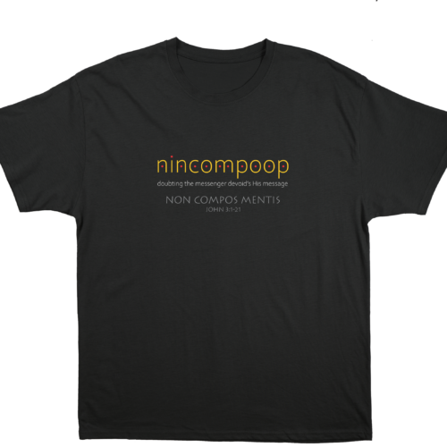 B Nincompoop
